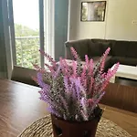 Apartmani Rezevici