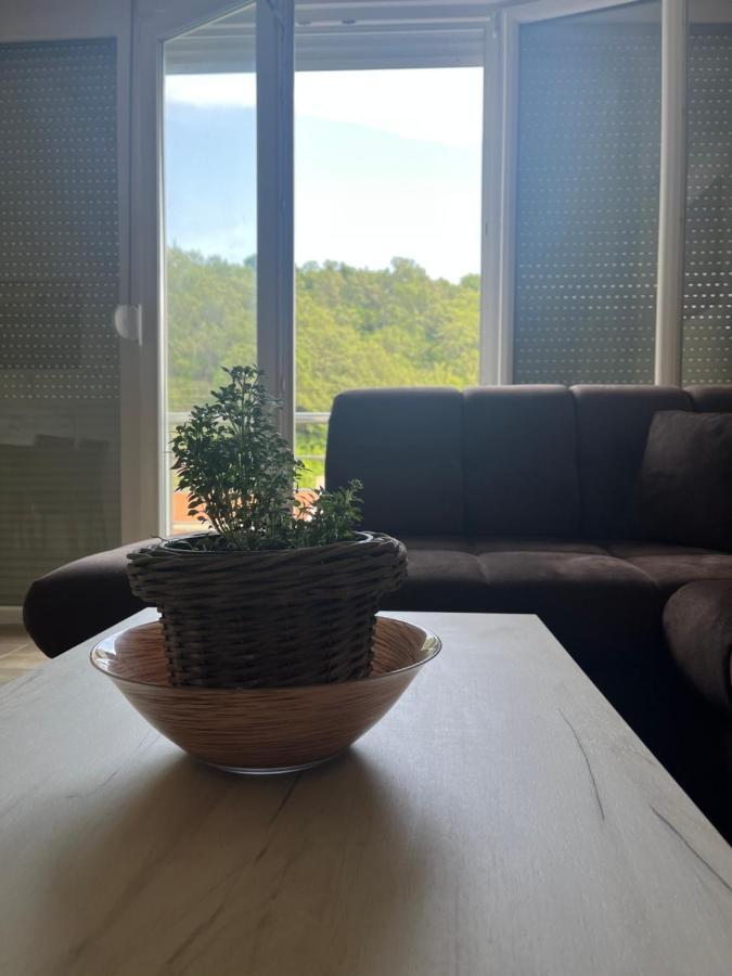 Apartment Rezevici Budva