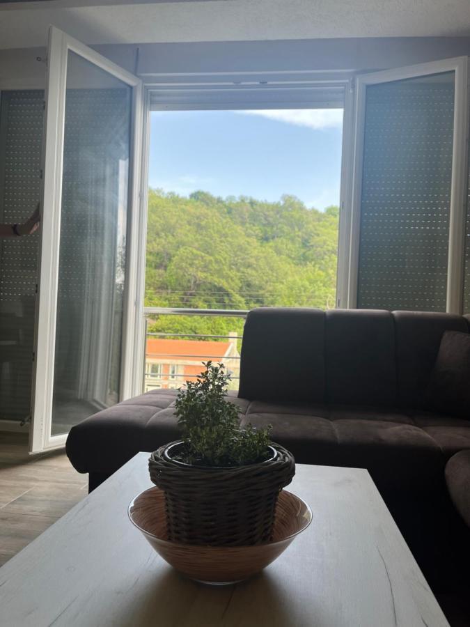 Apartment Rezevici