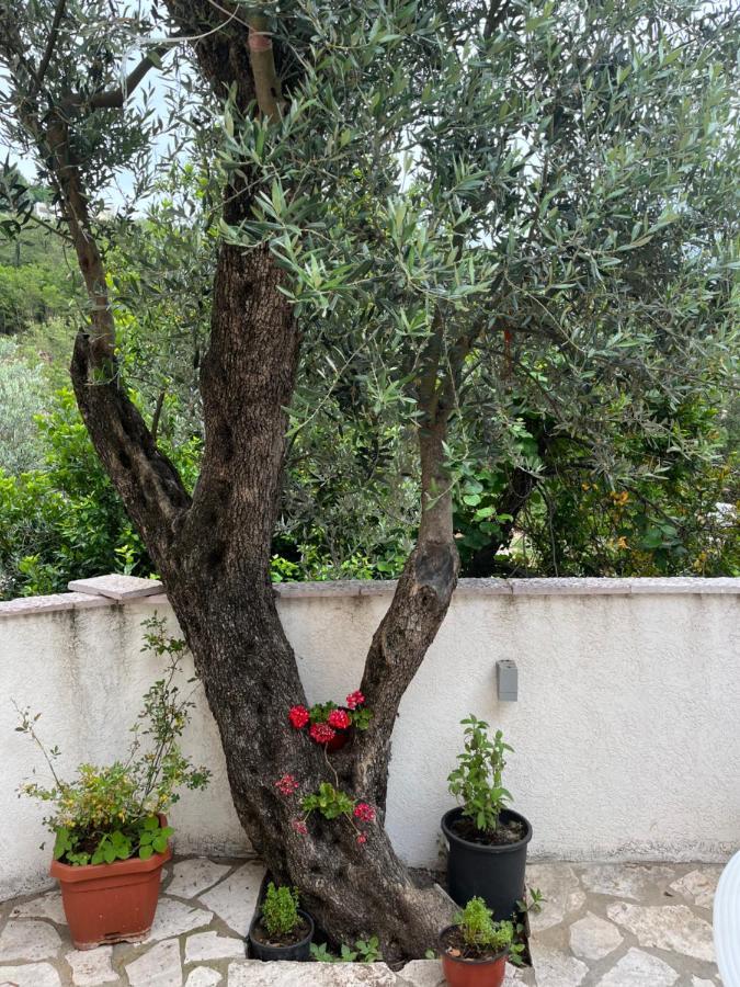 Rezevici Apartment Budva